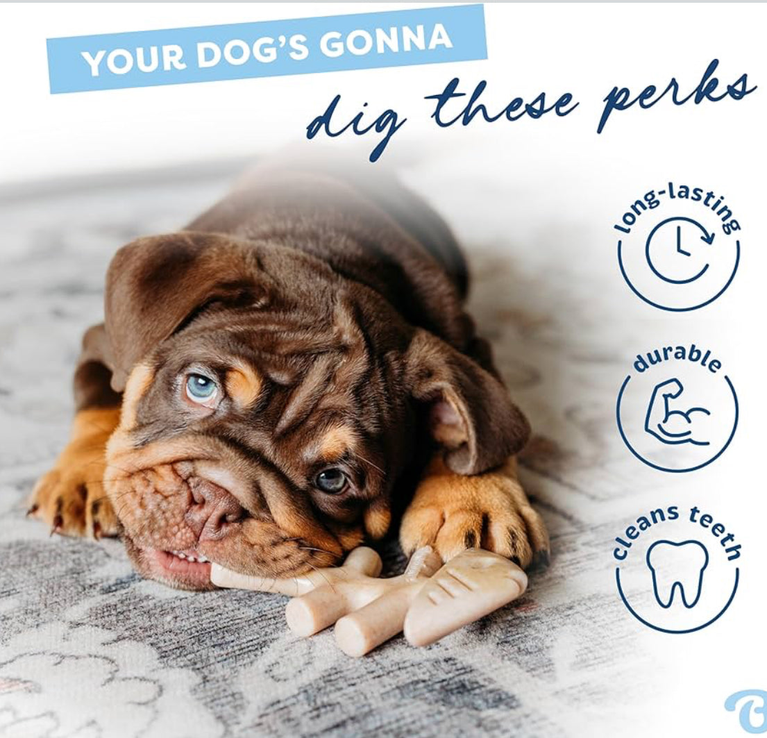 Benebone puppy fish bone 2 pack