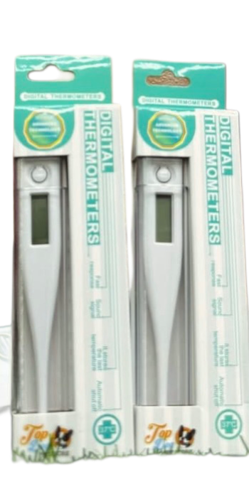Digital thermometer