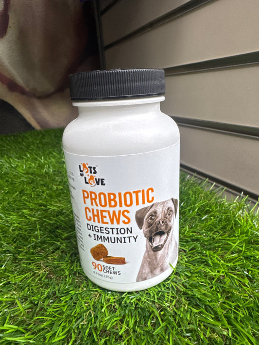 Probiotic Chews Digestion + Immunity