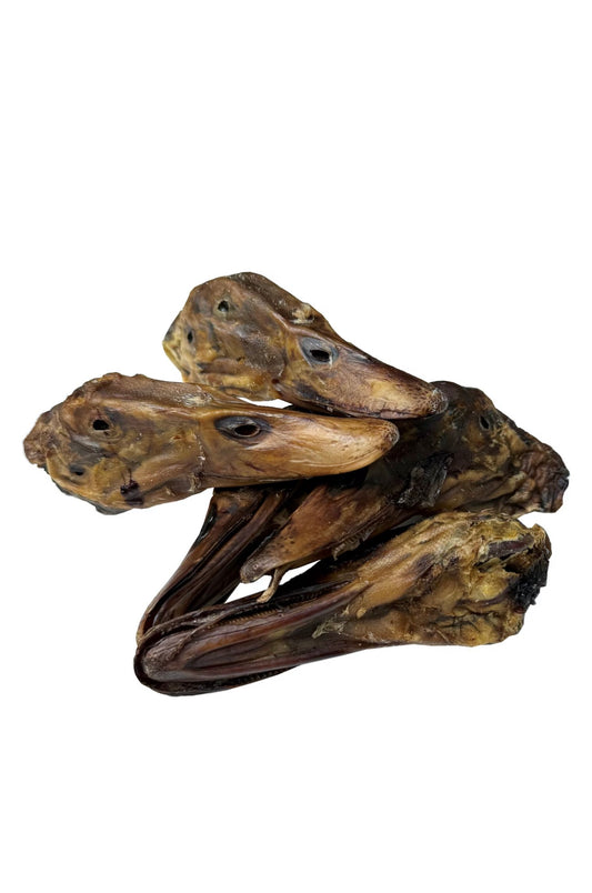 Duck head