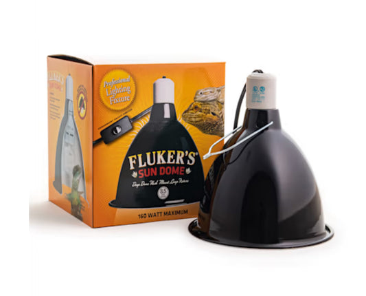 dome lamp housing only