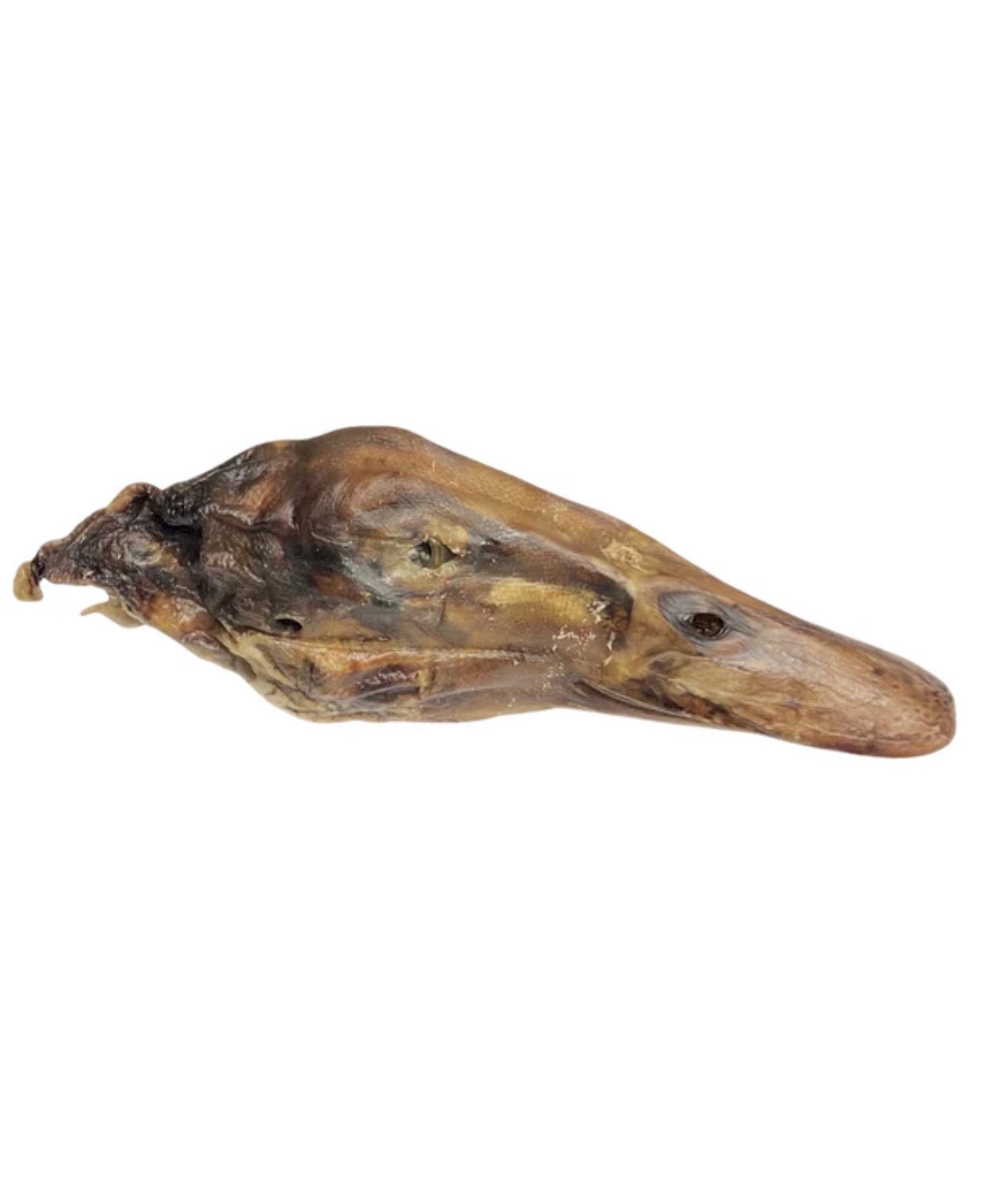 Duck head