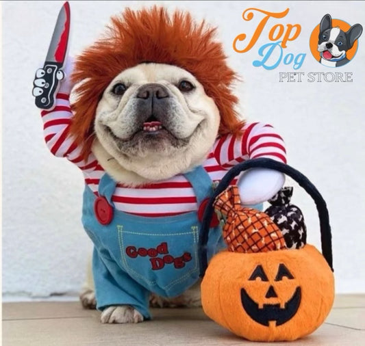 Halloween costume