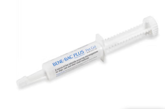 Been-bac plus
