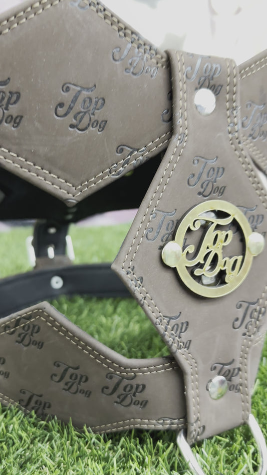 Top Dog Harness Brown Suede