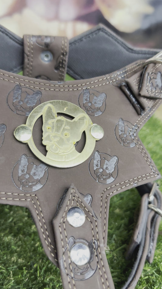 Top Dog Harness Black Suede