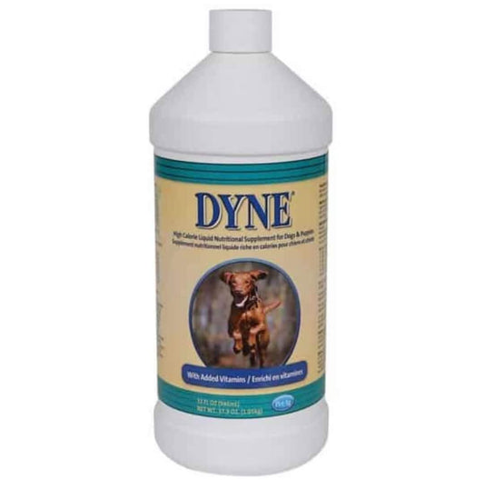 Dyne High Calorie Liquid Supplement