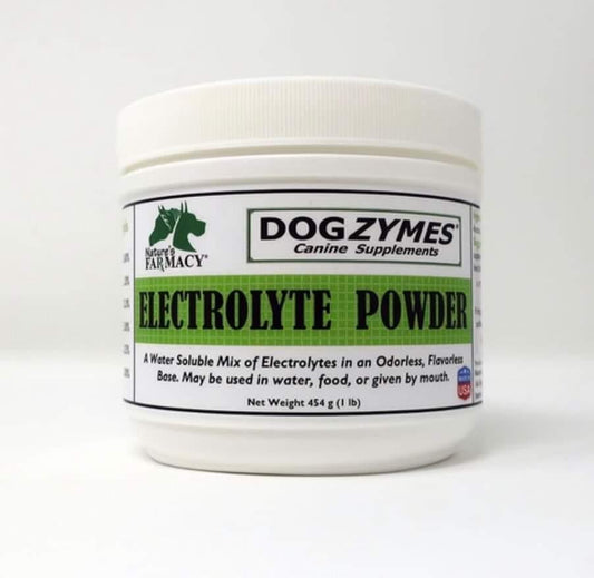Electrolyte Powder Supplement
