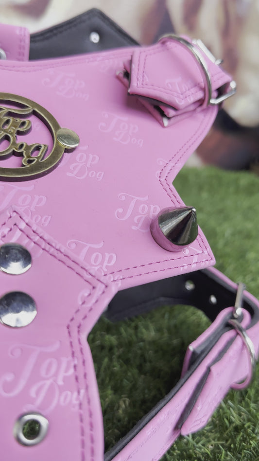 Top Dog Harness Black and Pink