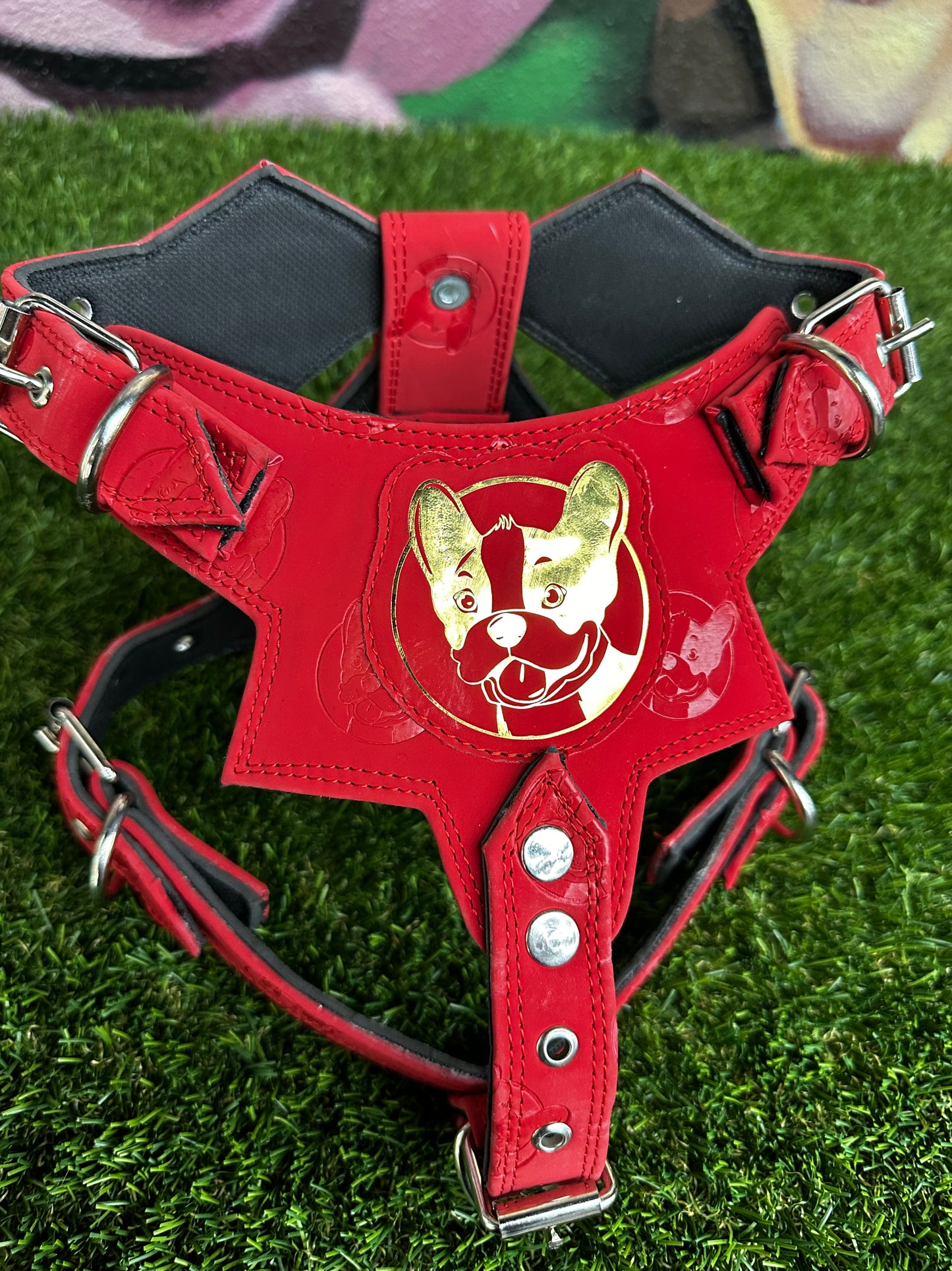 Top Dog Harness Red gold Frenchie head
