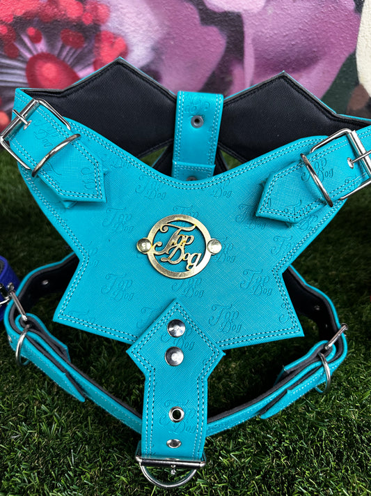 Top Dog Harness Teal