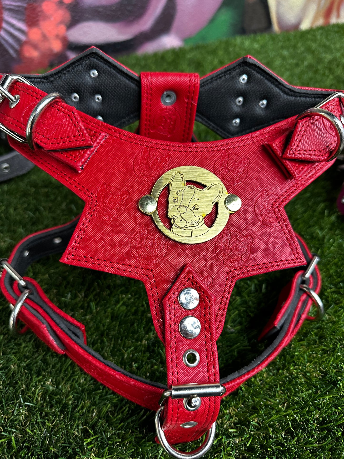 Top Dog Harness Red