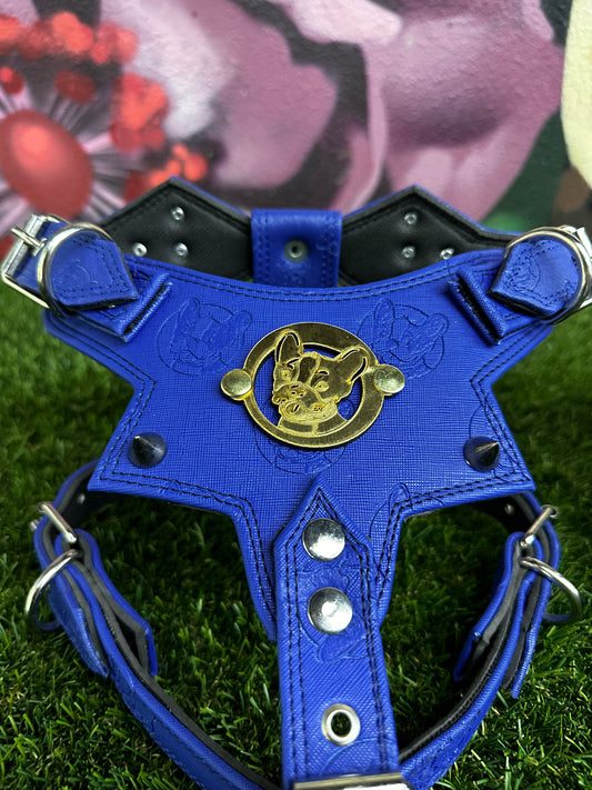 Top Dog Harness Blue