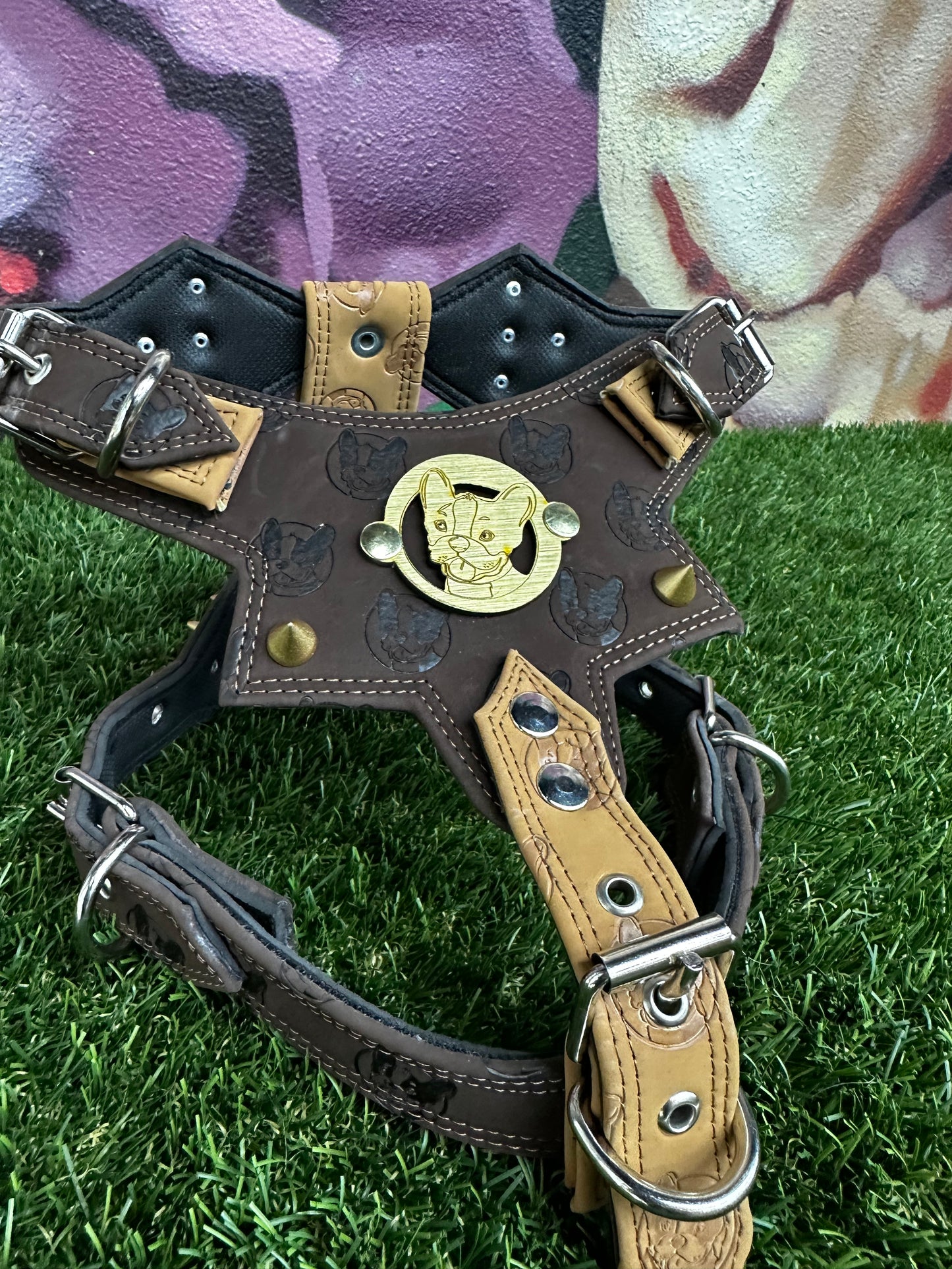 Top Dog Harness Brown and Tan