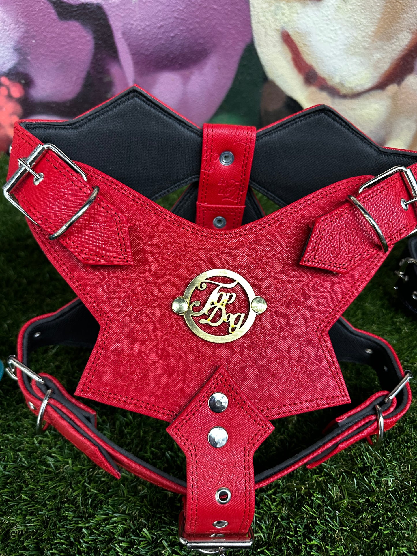 Top Dog Harness Red