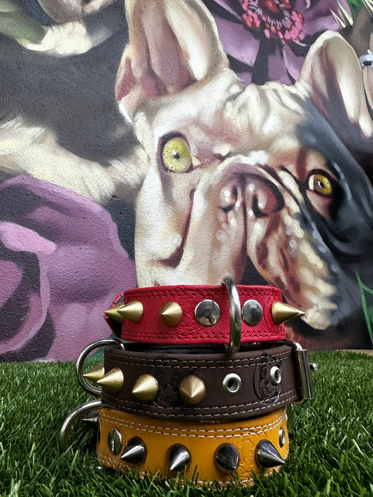 Top Dog Collar Puppy