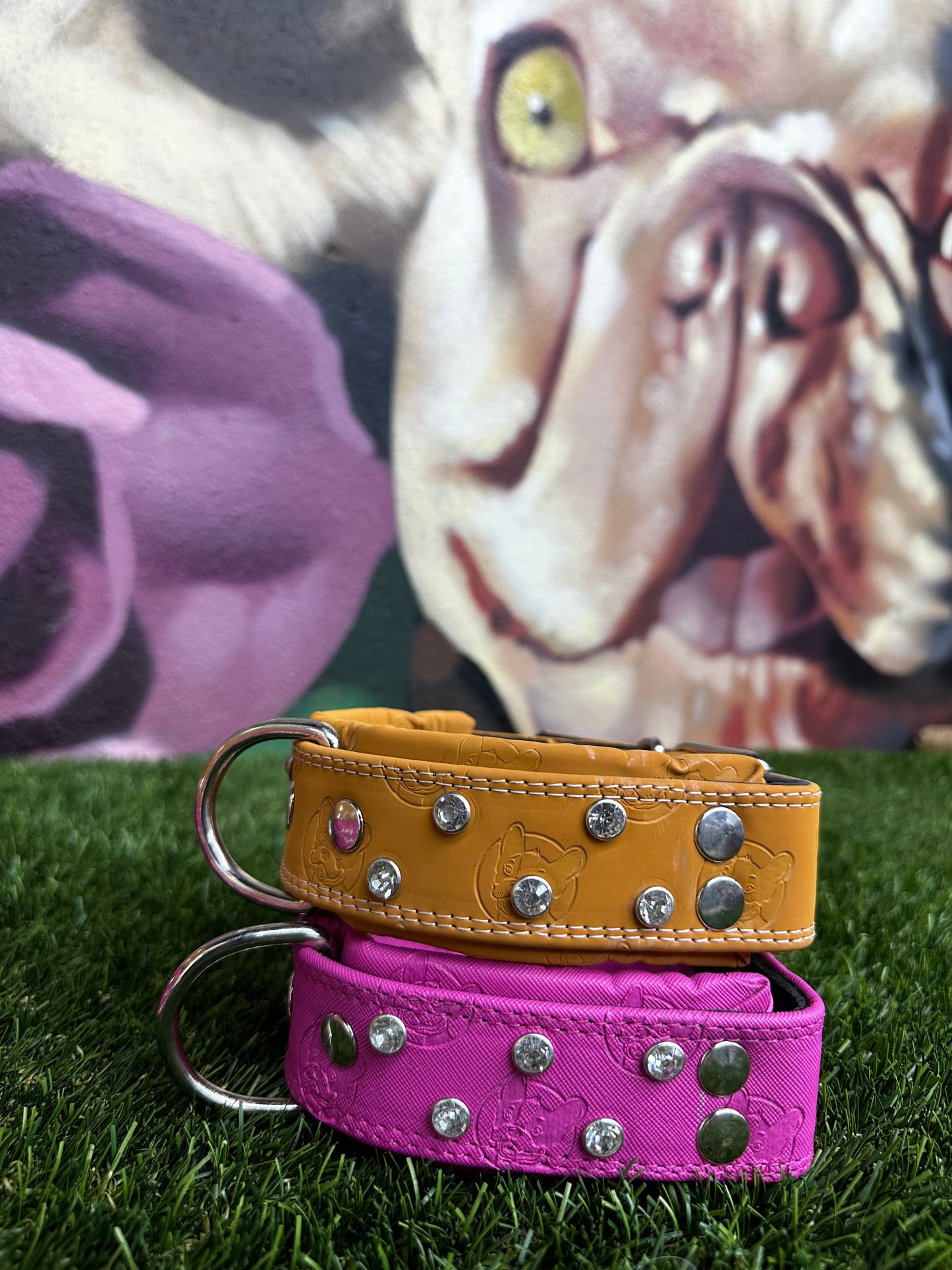 Top Dog Collar Frenchie