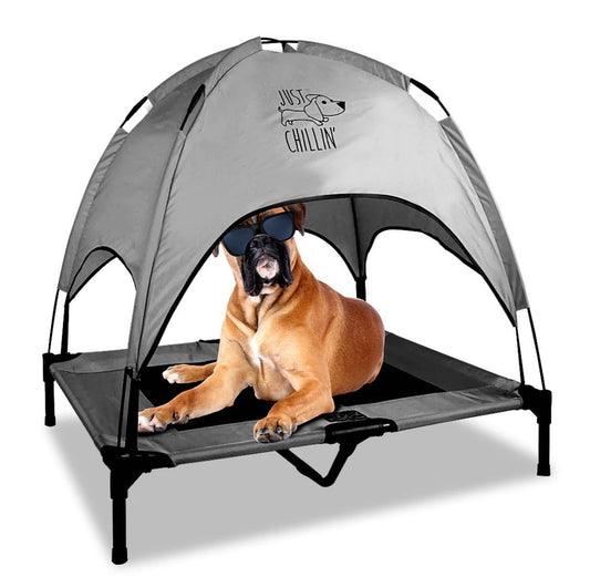 Dog bed canopy