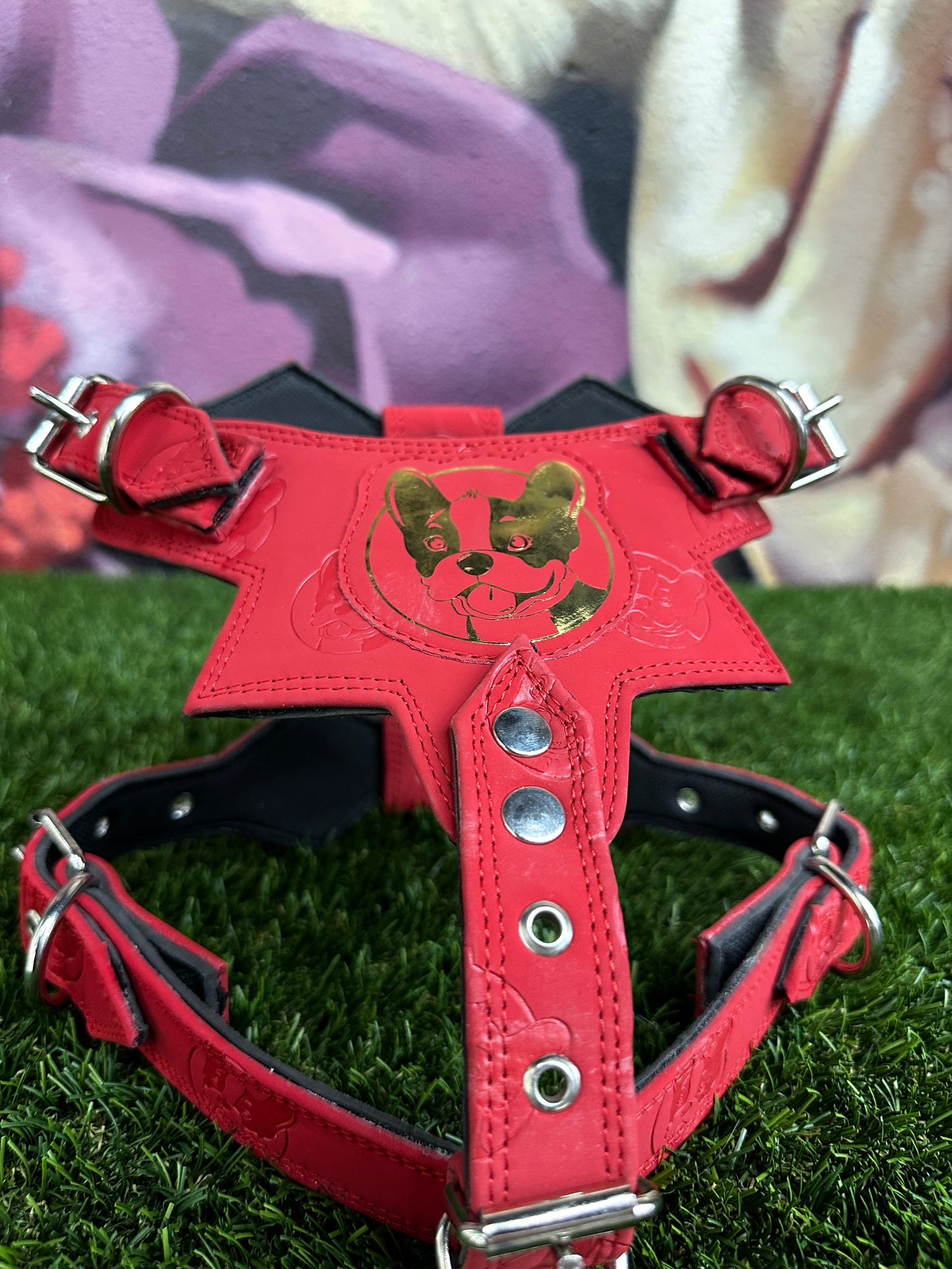 Top Dog Harness Red gold Frenchie head