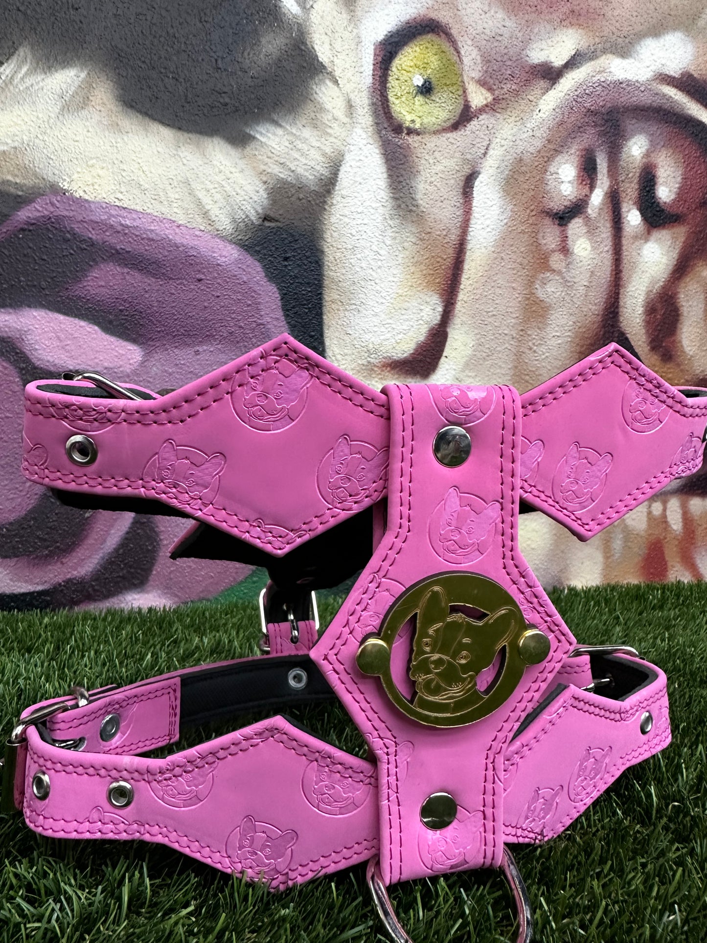 Top Dog Harness pink