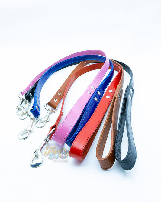 100% Multi Color Leather Leash